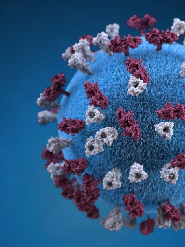 Nipah Virus Symptoms: Understanding Human Infection